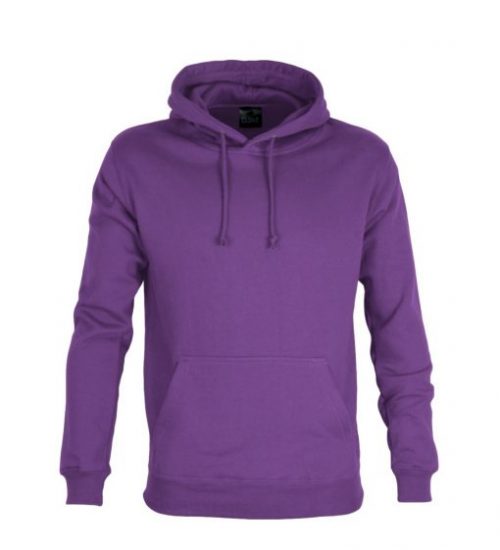 kids 300 pullover hoddie in purple, click to purchase.